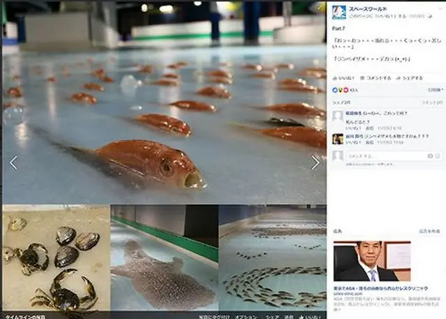 株式会社 リンクデザイン北九州市小倉南区- あなたの街の情報屋さん