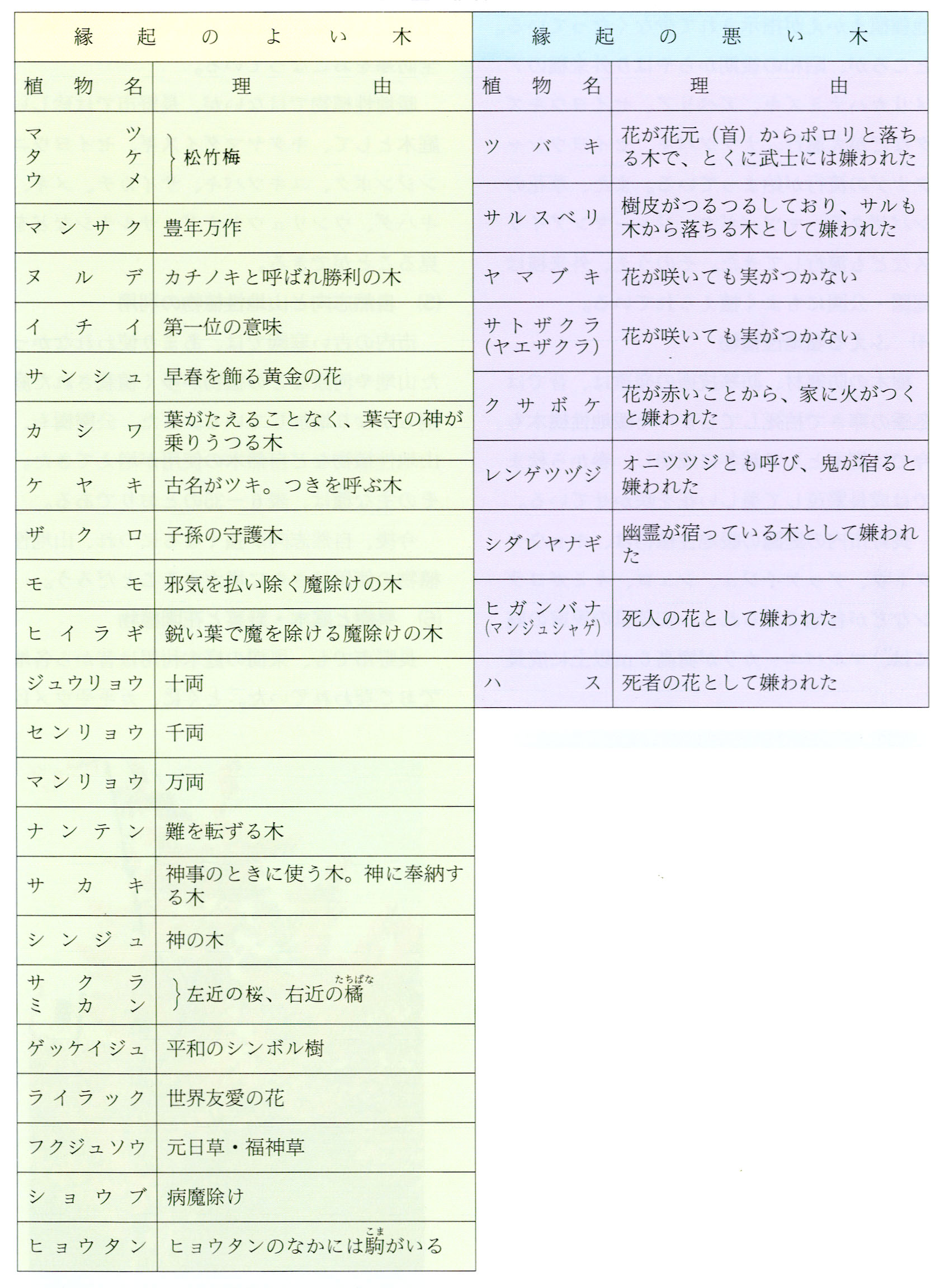 橘 たちばな ◇柑橘類 ときじくのかくのこのみ 右近の橘・左近の桜: 漢字分解～漢字の覚え方・書き方
