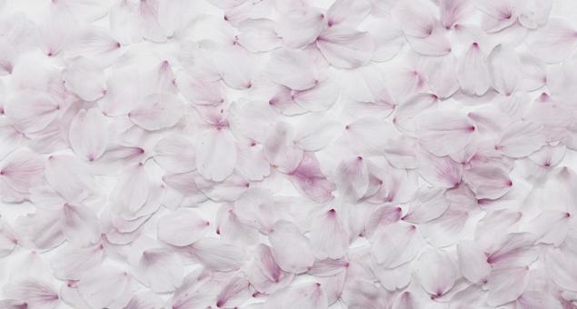 Twitter ヘッダー 量産型