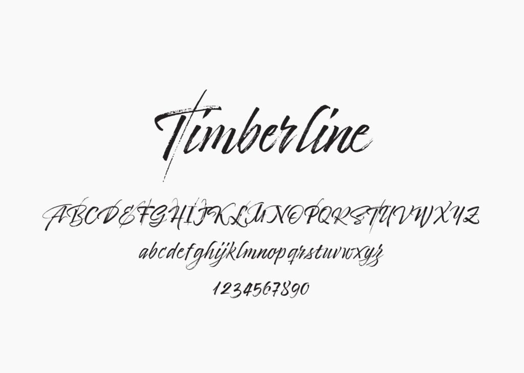商用利用可のおすすめ筆記体フリーフォント46選 2025年最新生き方・働き方・日本デザイン