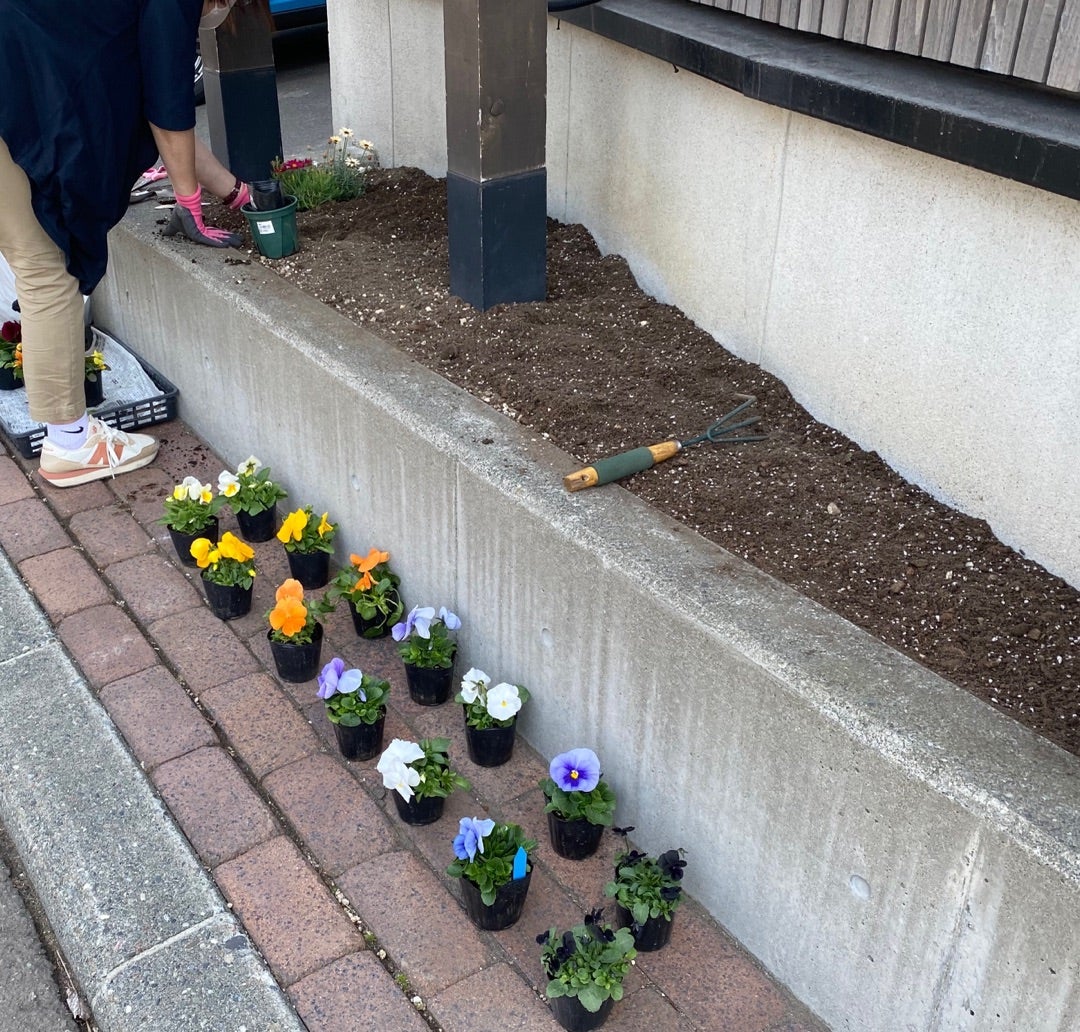 冬の寄せ植えには寒さに強い花を！冬の花壇に植えたい花10選HORTI by GreenSnap