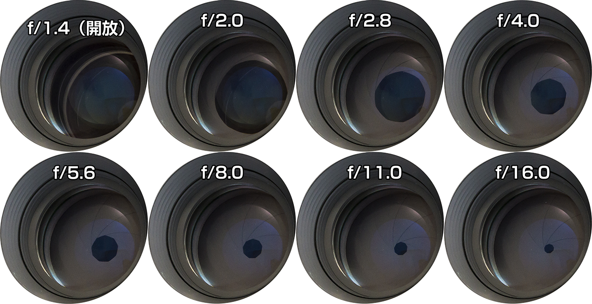 初心者向け「絞り」の数値はどうやって決めればよいかF値52weeks-photoshooting