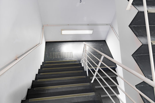 森林と階段無料の高画質フリー写真素材イメージズラボ