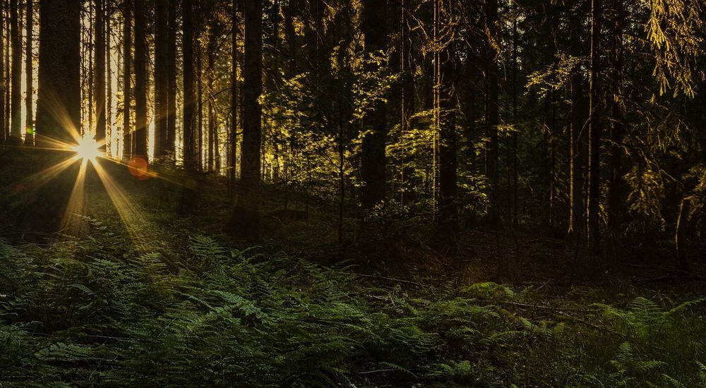 フランス語で「すごい！」を表現する5つの方法Kaiyo Nicolas