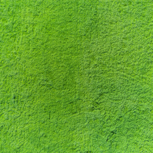 Illustratorで芝生模様を作ろうソフトの操作.com