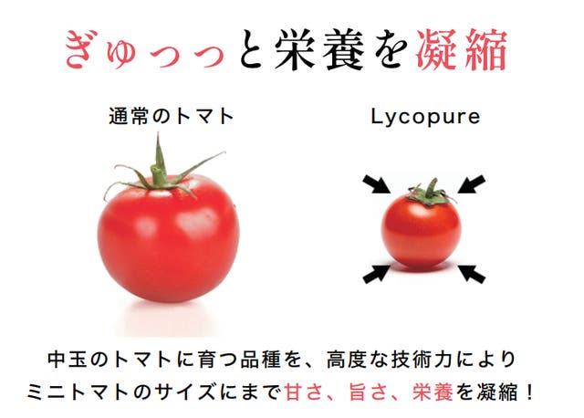 とまといちえ農場様 ダンボール箱農業に特化したデザイン会社 - ロゴ・名刺・チラシ等農家のミカタ