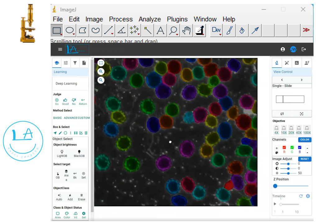 フリーソフトでAI画像認識！無料で使える画像解析サービスやツールを紹介Stella DeepTech Lab
