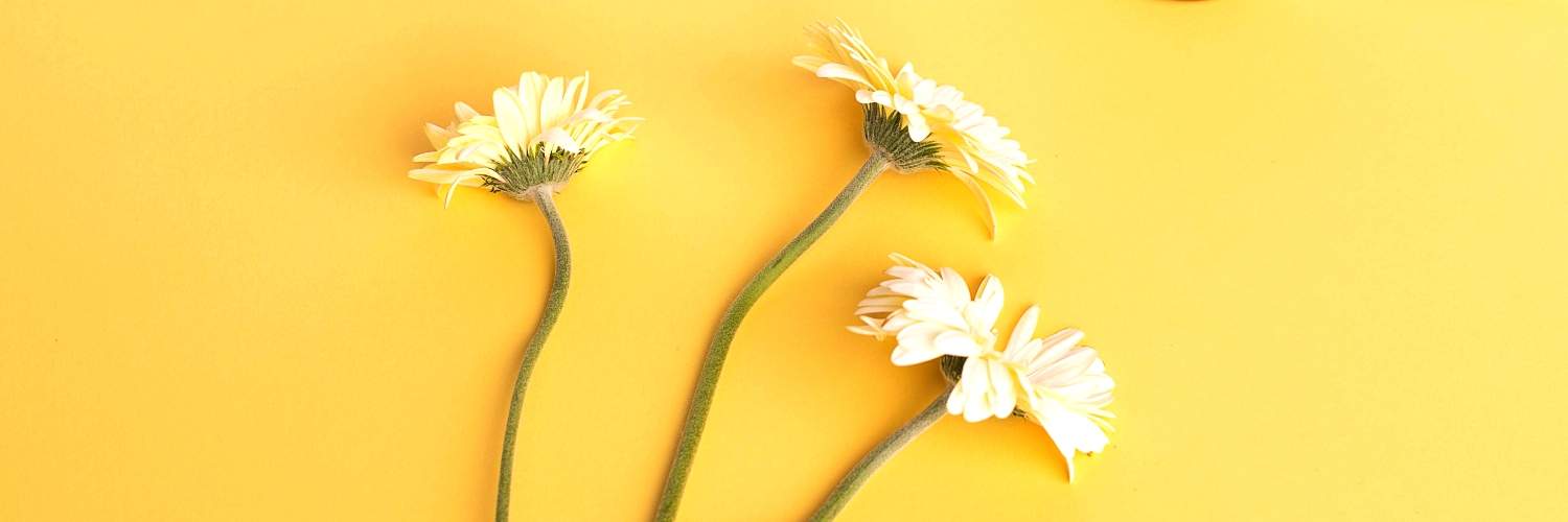 Ｘ エックス のおしゃれでシンプルなヘッダーフリー素材配信中Time-fun.fun