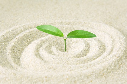 桜背景透過・リアル調 背景イラスト無料 フリー88630素材Good