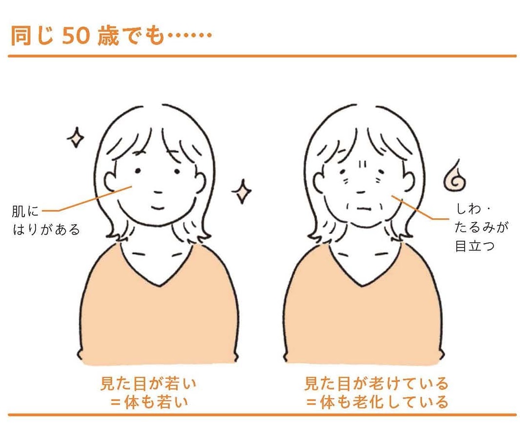 急に老け顔になる人の特徴は？老け顔に見えるポイント別の対策を解説｜スワンクリニック銀座