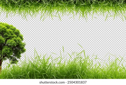 無料の観葉植物イラスト素材PNG・フリー 画像 - Pngtree