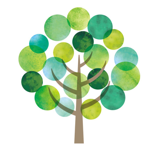 クラスTシャツの緑は癒やしカラー！合う色やデザイン例をご紹介RESART リザートBLOG