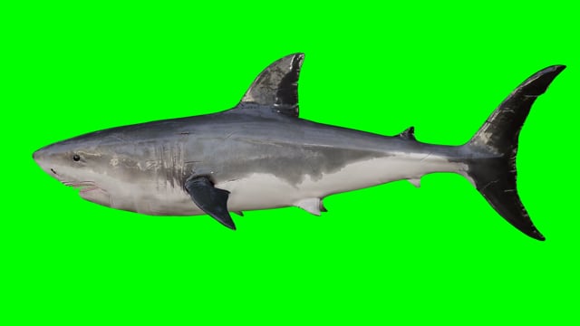 133+以上の無料クロマキー画像