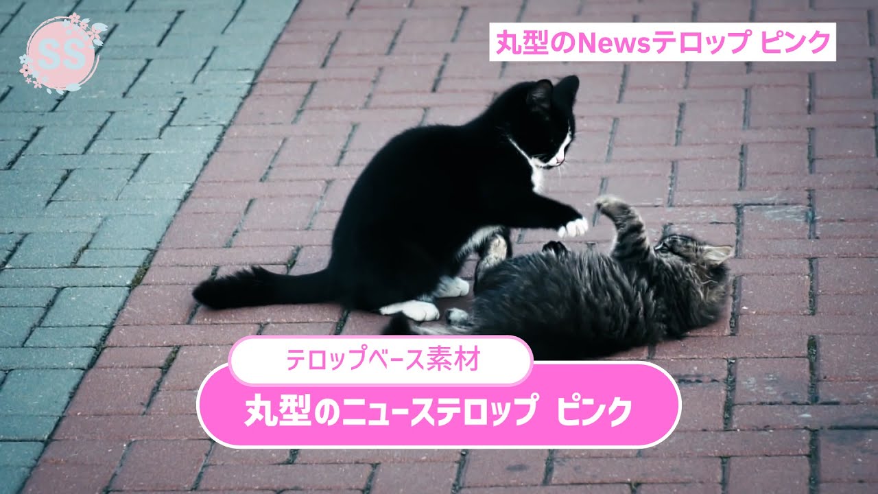 テロップ枠で使える無料動画素材想いが届く。伝わる無料動画素材