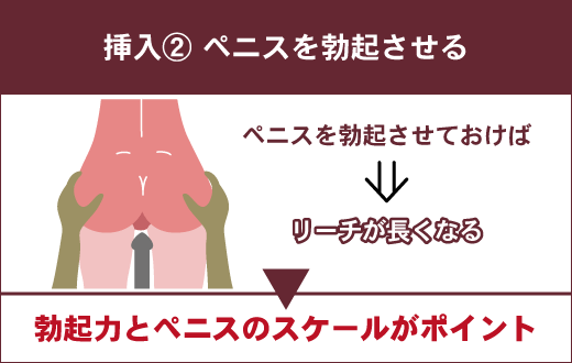 後背位はこうやって入れる！挿入のコツを知って今夜は後ろから責めよう。 | VOLSTANISH