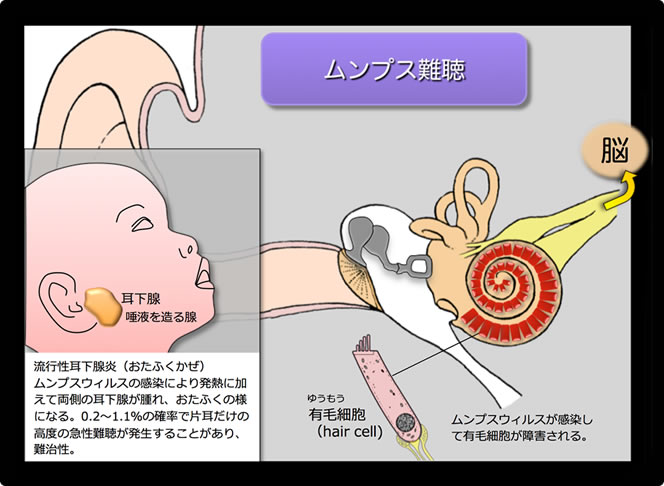 性感帯男子のTwitterイラスト検索結果。