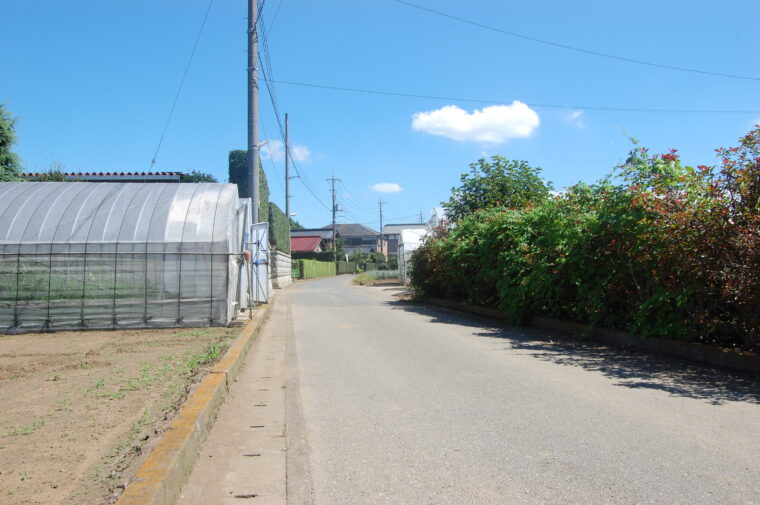 フリー素材 田舎道 4枚背景イラストみんちりえ