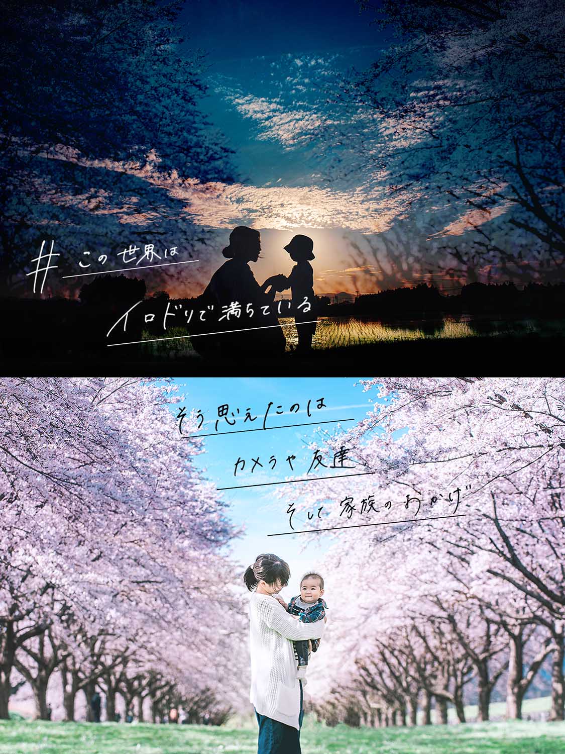 , ﻿, こんにちは！﻿, プロデザイナー歴7年のあんみつです！﻿, ﻿, 聞かれることが多い﻿,「スマホで手書き文字を入れる方法」を動画で解説！, ﻿, わたしもiPadとApple pencilを買う前は﻿,この方法で写真に文字を入れていましたー！, ﻿,ペンタブやiPadを持ってないけど、文字入れしてみたいって人はぜひこの方法でやってみてくださいねー😃✨, あんみつより,