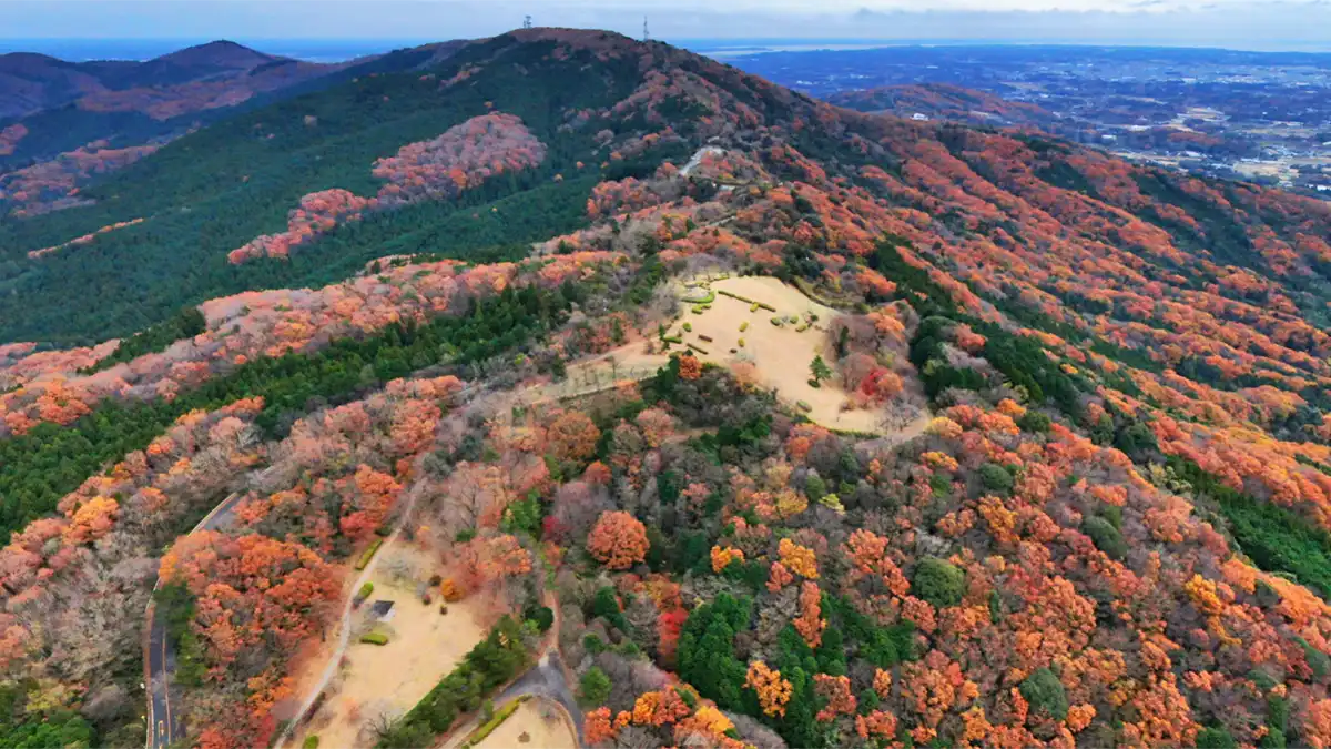 土浦市の紅葉名所、もみじ・イチョウ等紅葉おすすめスポット:茨城VRツアー