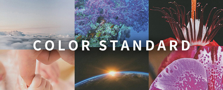 カラーユニバーサルデザイン推奨配色セット