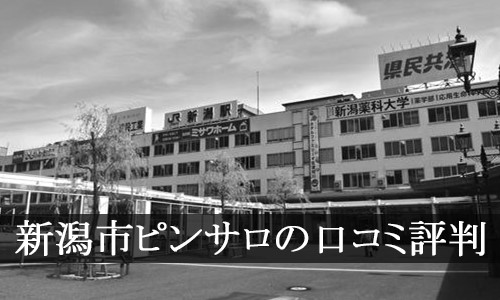 八千代台のおすすめピンサロ2選！口コミ体験談,評判レビュー【2023年版】 | モテサーフィン