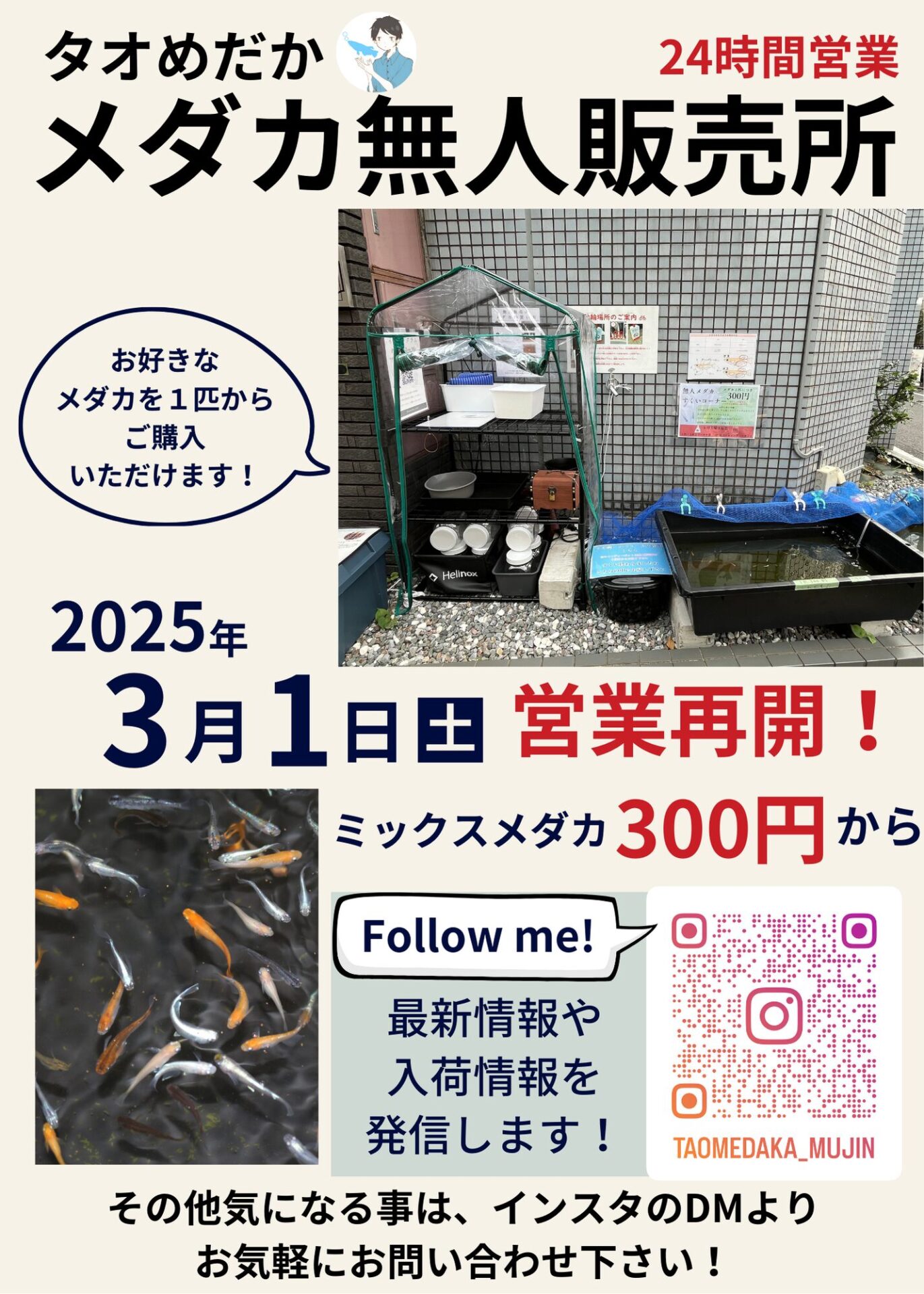 アクアリキッドキーホルダー マリンブルー 全9種 No.603-710～718