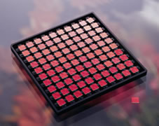 透けさせる赤外線フィルターTikTok