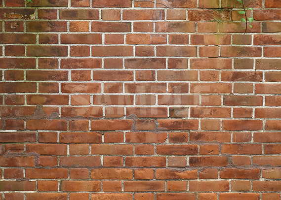 レンガ背景 秋のフレーム素材221473926 毎月1点無料 フリー のストックフォト イメージマート