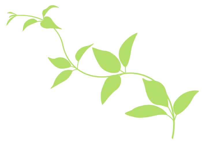 葉っぱのフレーム無料イラスト素材素材ラボ