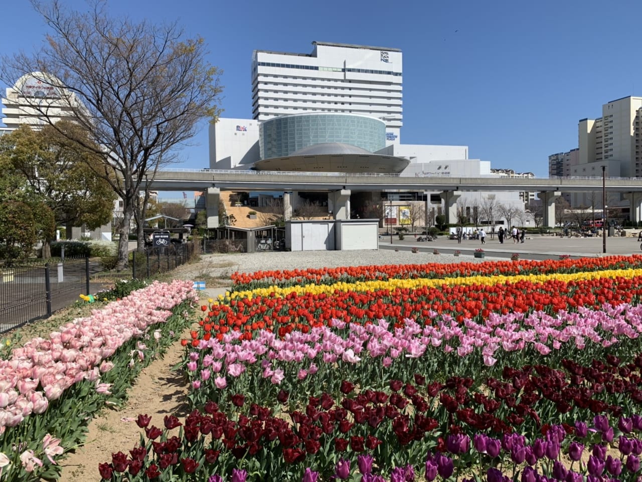 動画あり】異人館・チューリップの花絵が凄い！インフィオラータ2022こうべに行ってきた【神戸北野坂】 | GENIC KOBE