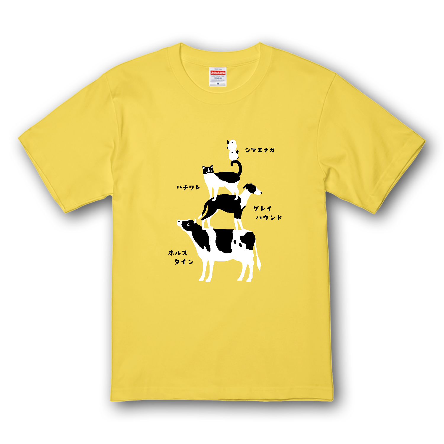 白黒 ツートン」の中古車を探す カーセンサー