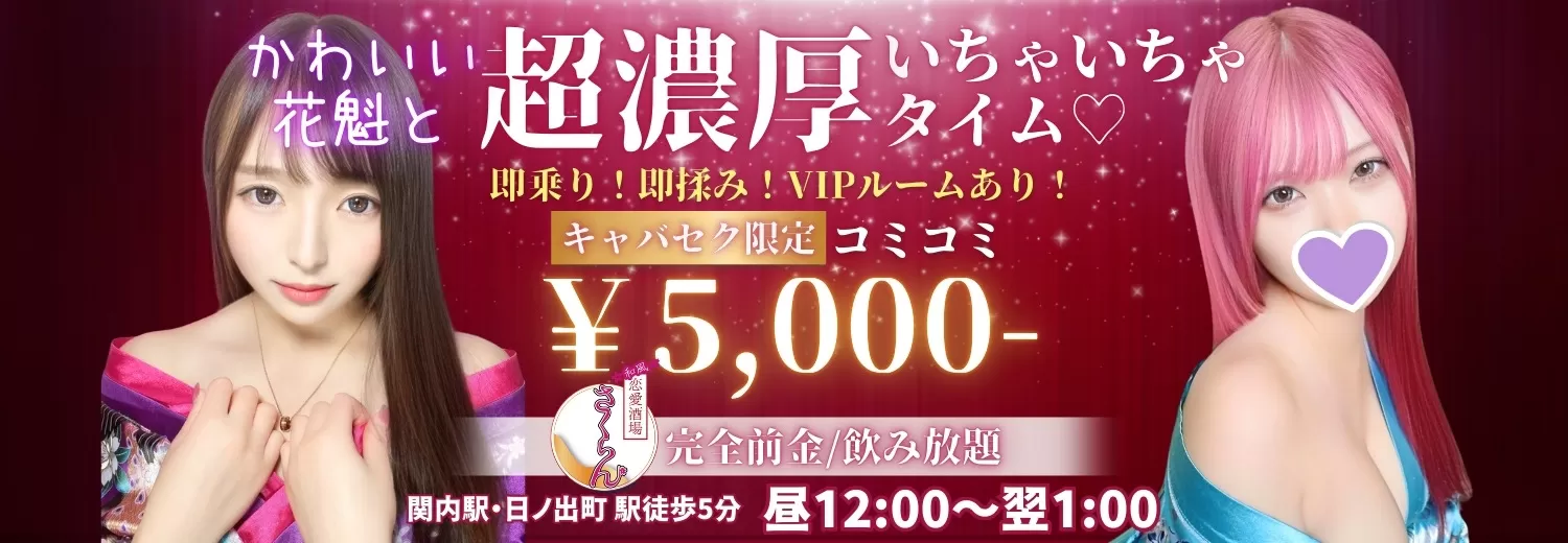 新宿のセクキャバ・おっパブ・いちゃキャバ情報満載『ドンファンなび』