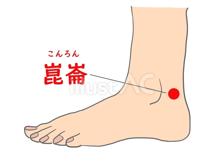 公園にて。椿崑崙黒 こんろんこく「番外編」のアルバム-みんなの趣味の園芸1322561