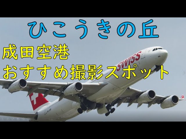 犬と成田空港周辺やさくらの山で遊んだときのお土産とJALカレー御料鶴 | 人生を夫婦で楽しむ方法