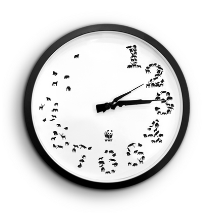 ジウジアーロが筆頭。「デザインが面白い」押さえておくべき腕時計