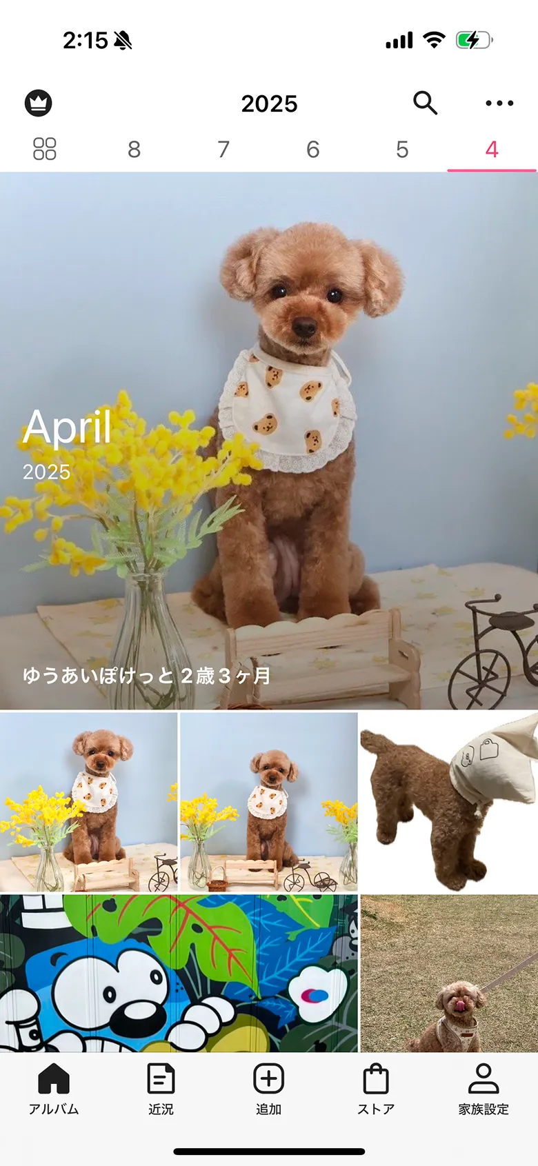 Androidおすすめのギャラリーアプリ11選 2021年版– OREFOLDER