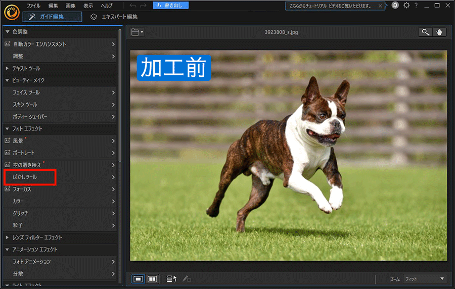 ベクター画像の炎の波打つゴールドテール。カラフルな光の軌跡、長時間露光のモーションブラーエフェクト。グリッタカーブゴールデンラインのライトエフェクト。透明な背景に魔法の黄色の回転PNG。」のベクター画像素材 ロイヤリティフリー2344279015Shutterstock