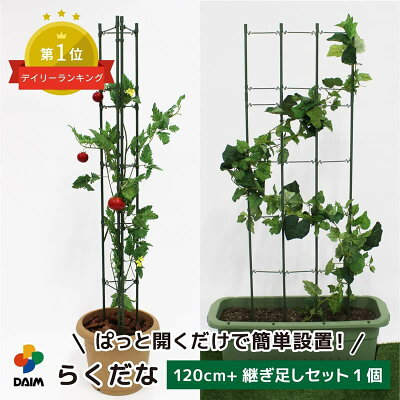 セリアのワイヤー支柱丸型とディオスコレア・亀甲竜もすレコ