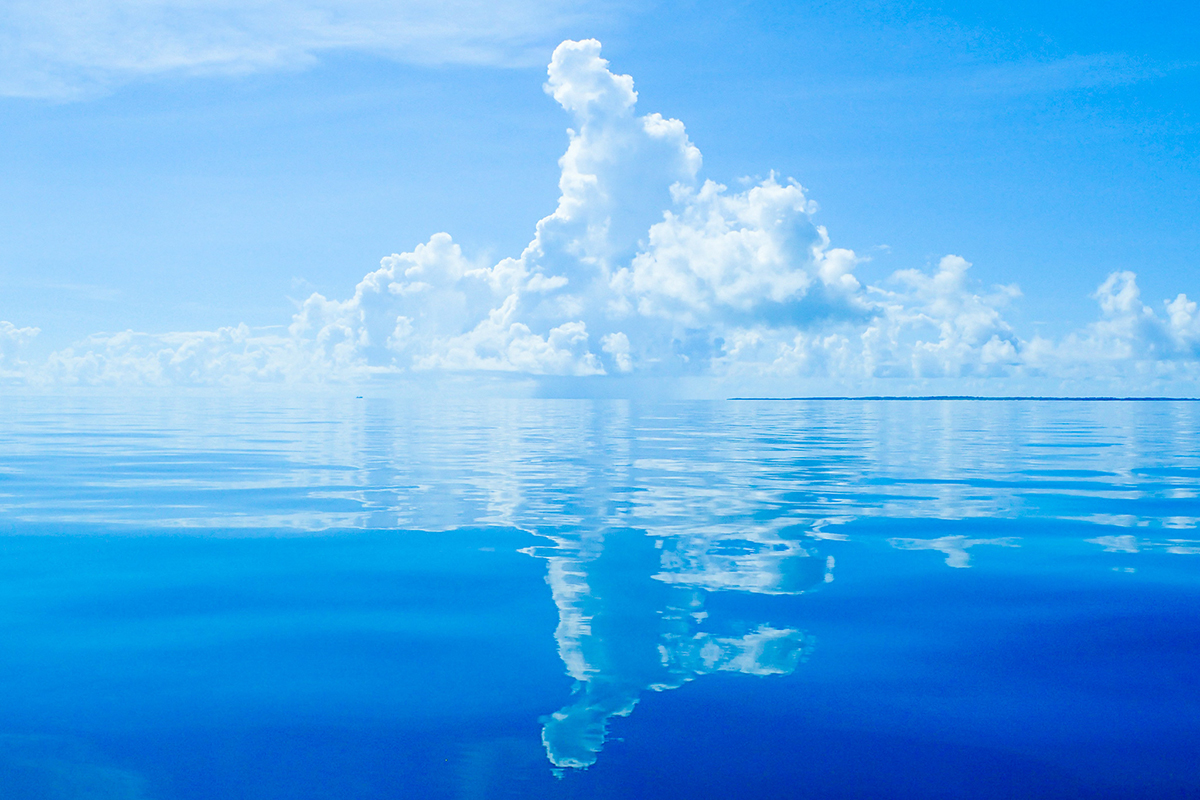 商用可！おしゃれなフリーイラスト素材 7選カナロード