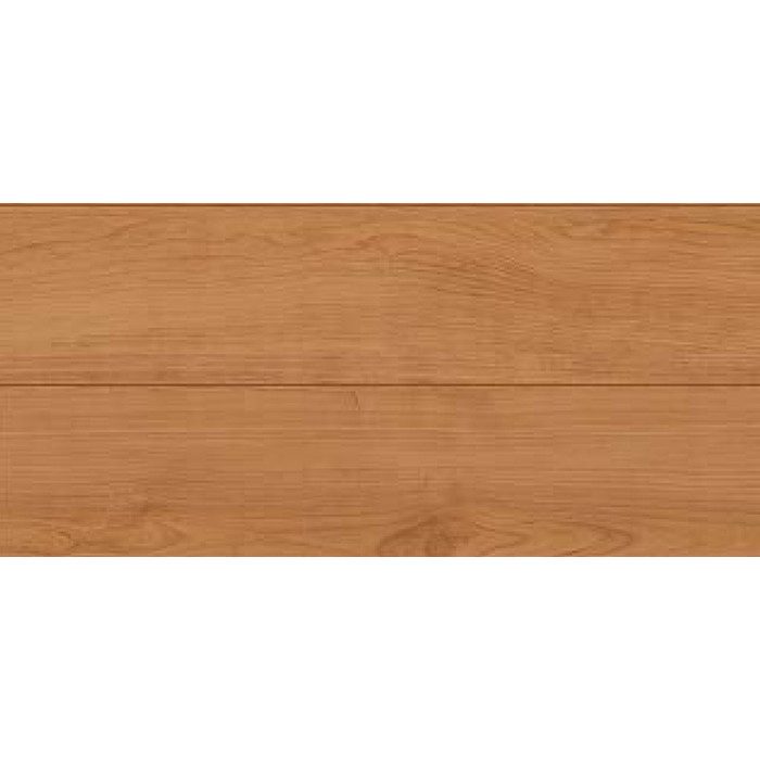 TSF-100EU LL リクシル 壁付収納棚 LL クリエラスクLIXIL LIXIL NKF-2WU2 棚手すり 棚タイプ 左右共通2連紙巻器付 ホワイト クリエペール クリエダーク クリエラスク クリエモカ建材・住宅資材の公式通販LDK plus