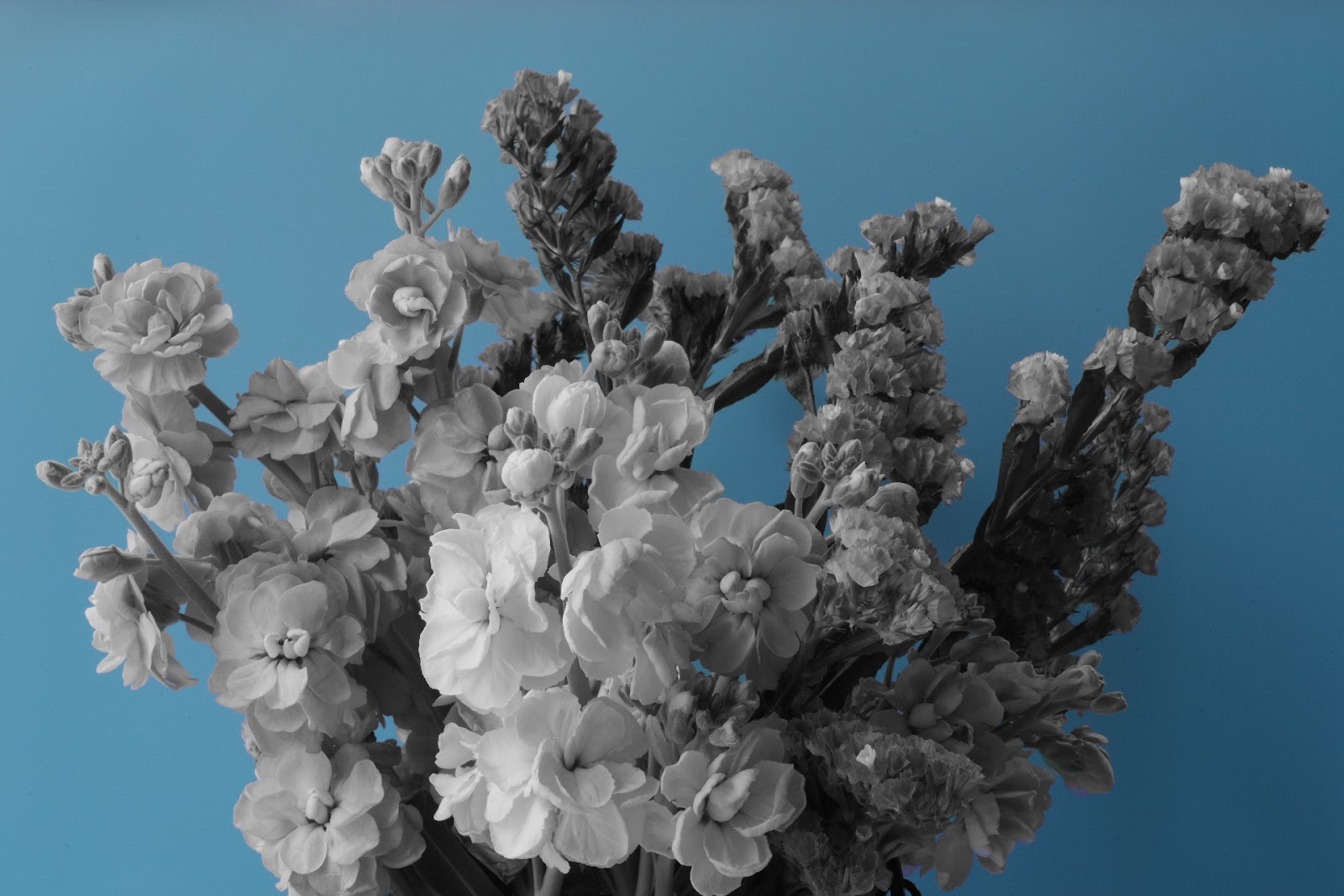 HTML CSSで背景色を変えたり、画像を入れて、余白の調整をしよう！BREEZE WEB