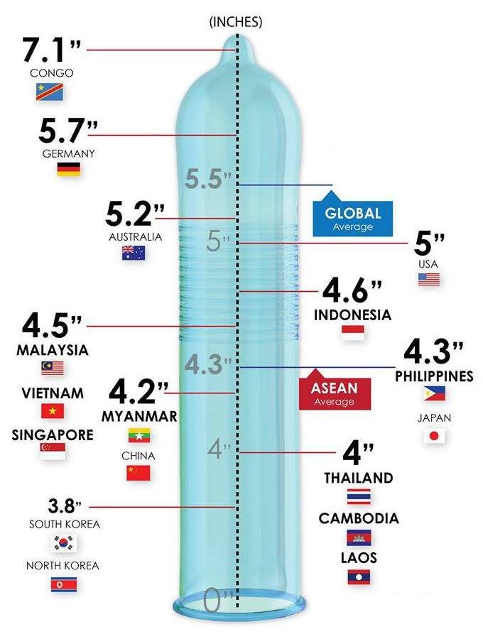 ペニスの大きさ平均は13cm！女性の理想サイズはさらにデカい！？｜薬の通販オンライン