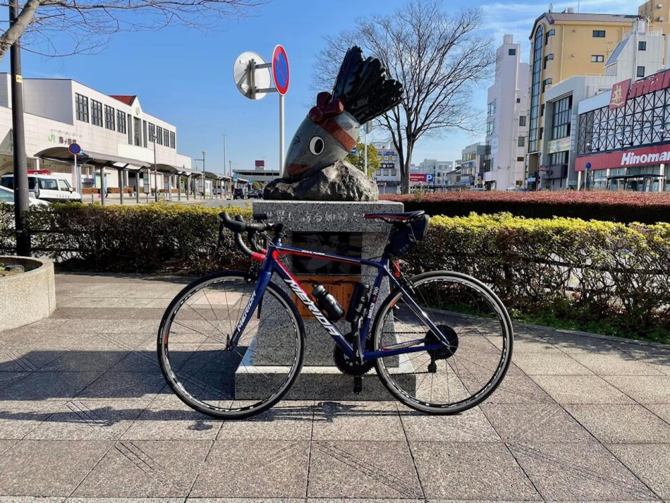 JR内房線 姉ヶ崎駅 構内を散策 (Japan Walking