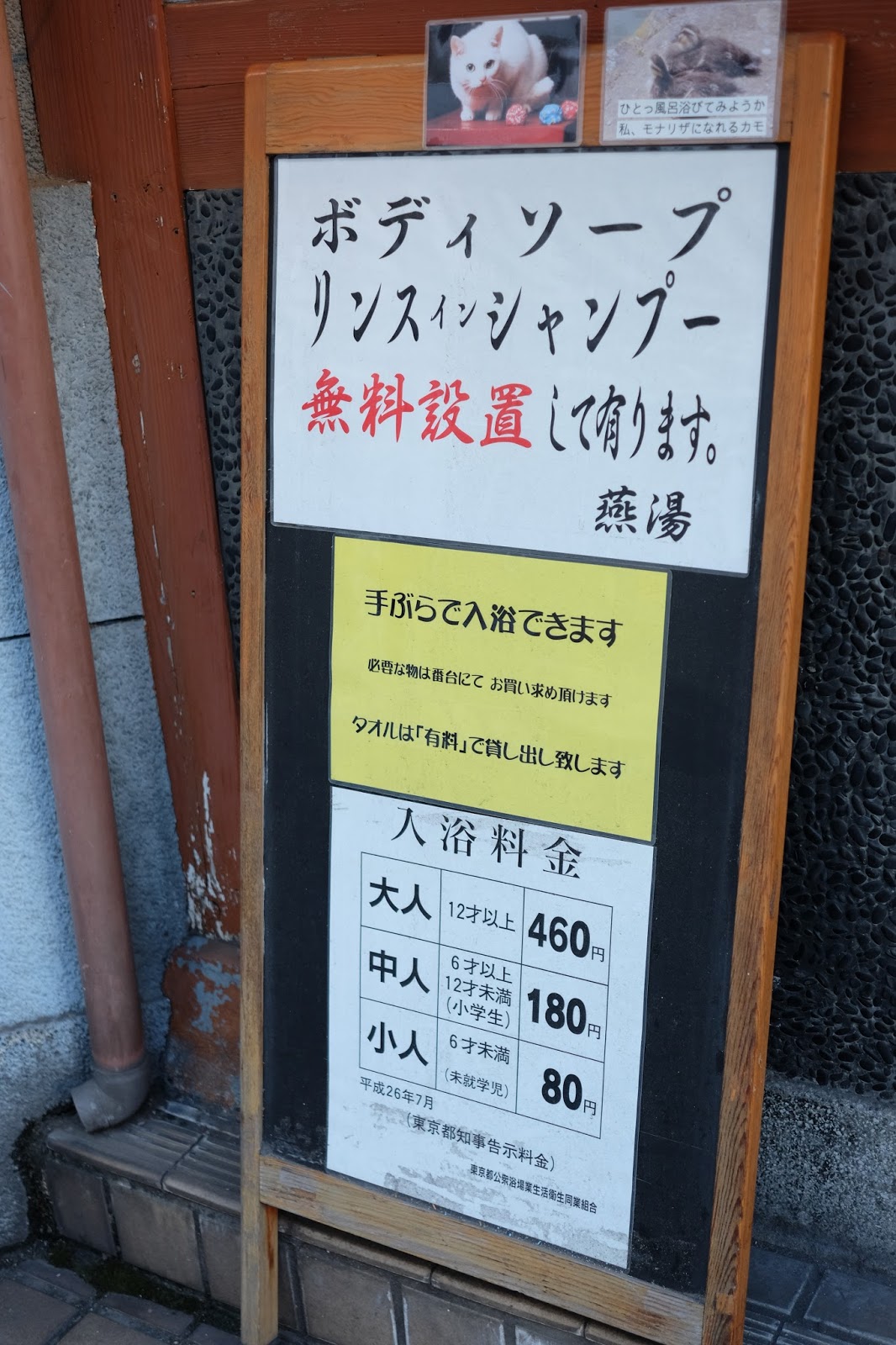 科学的に理想のクリトリス刺激方法６選【研究】 | TikTok