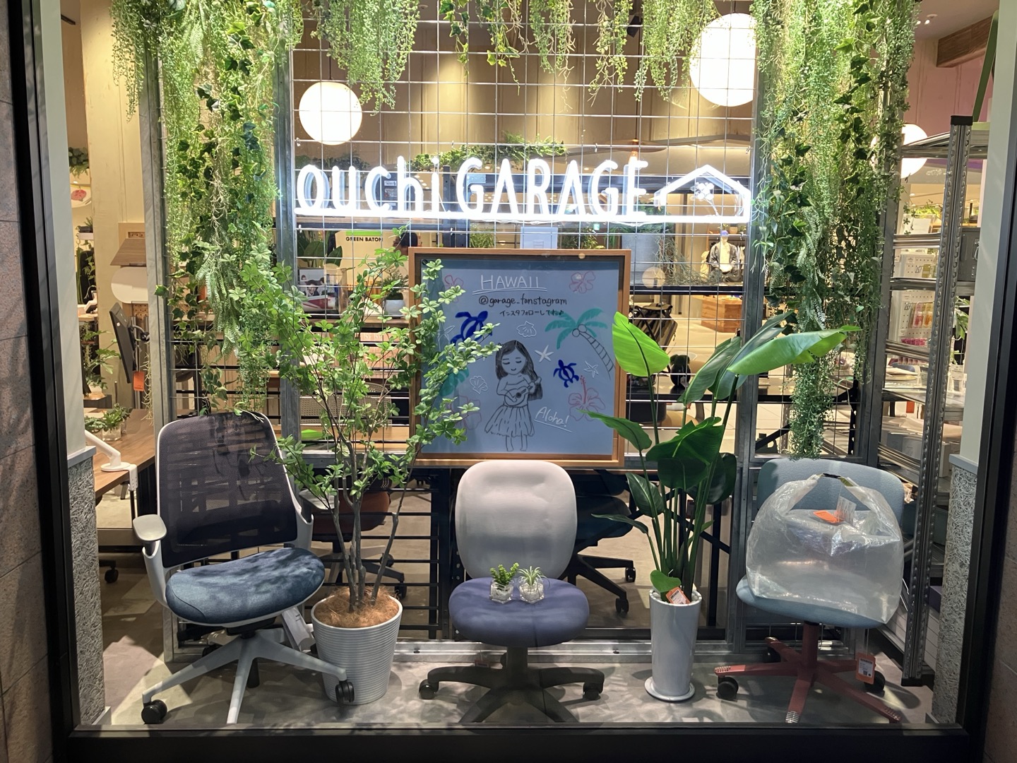 たまがき歯科クリニック : 夏のウィンドウディスプレイ