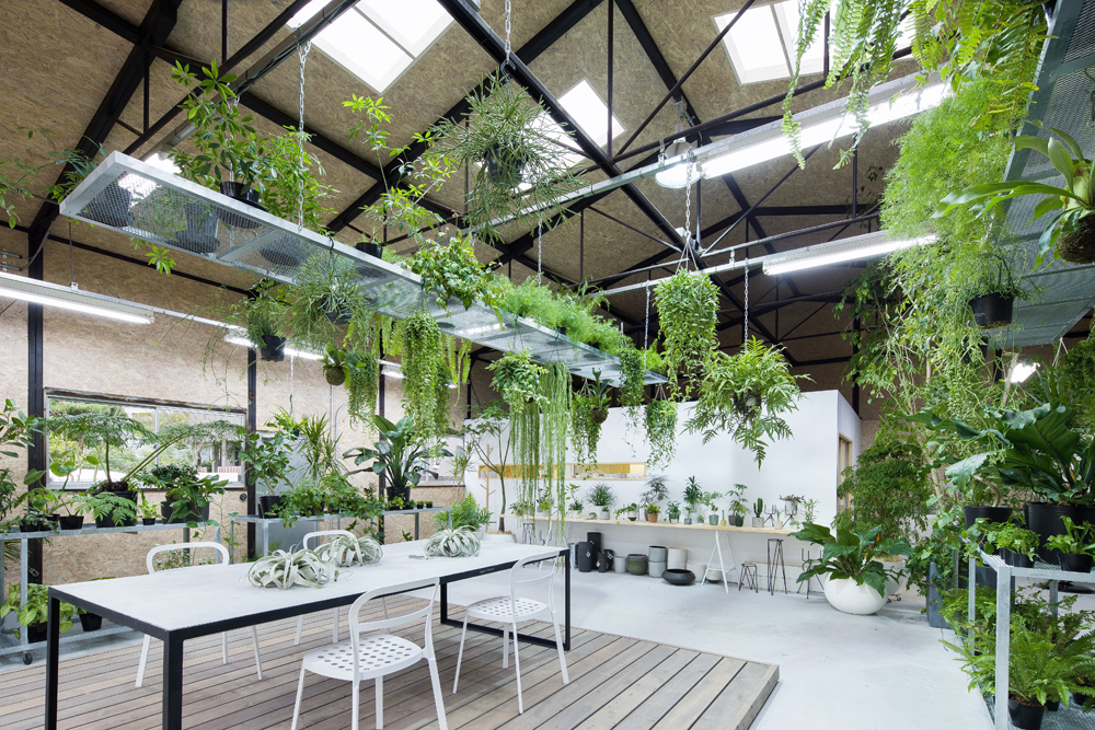 緑の装飾的な木のシームレスなパターン。緑の葉と、かわいい自然の背景。北欧スタイル フォレスト ベクトル イラスト。 テキスタイル、壁紙、ファブリックの デザイン。のイラスト素材・ベクター Image 61609758