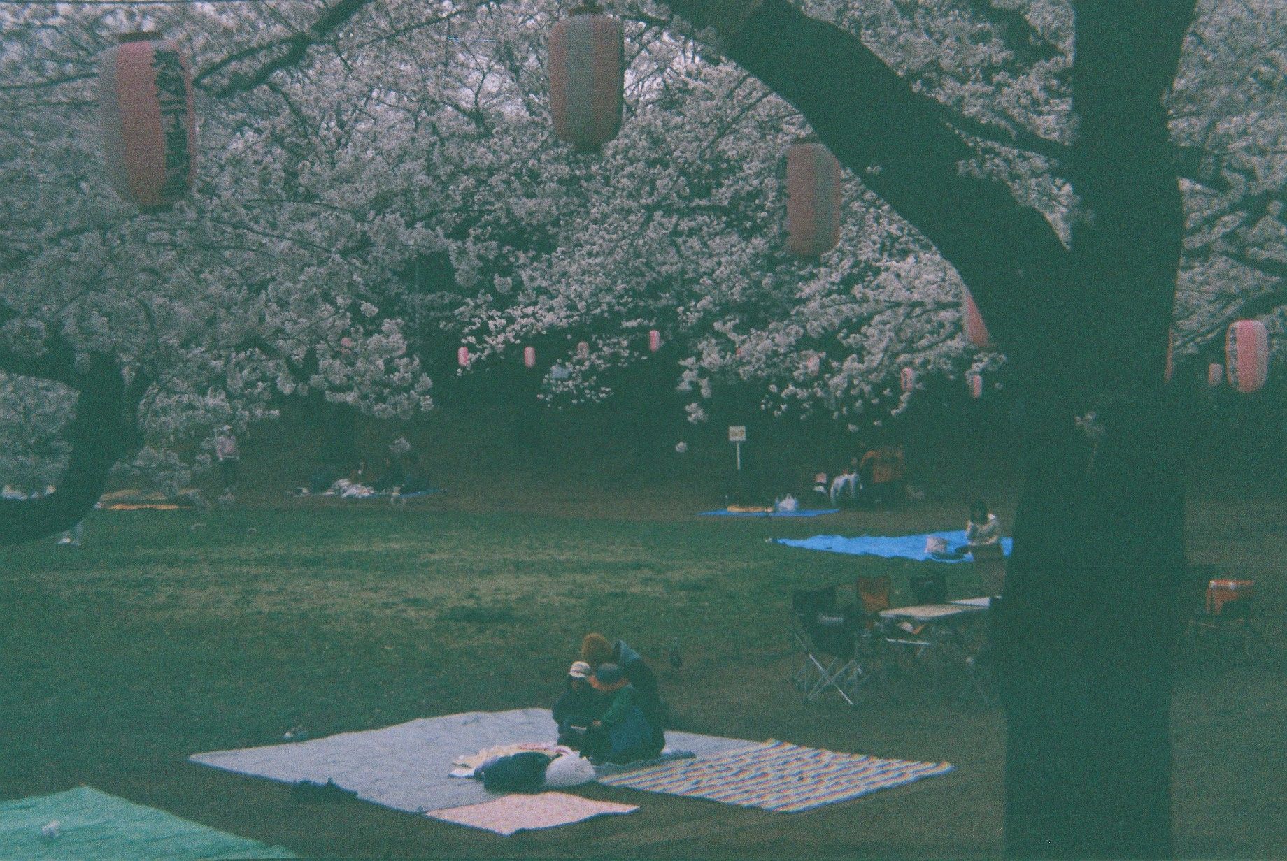 暗い 写真 明るく photoshop262 無料画像