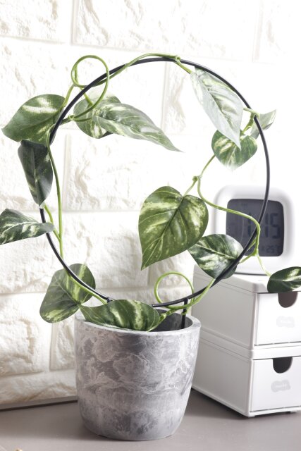 セリア 支柱の商品を使ったおしゃれなインテリア実例RoomClip ルームクリップ