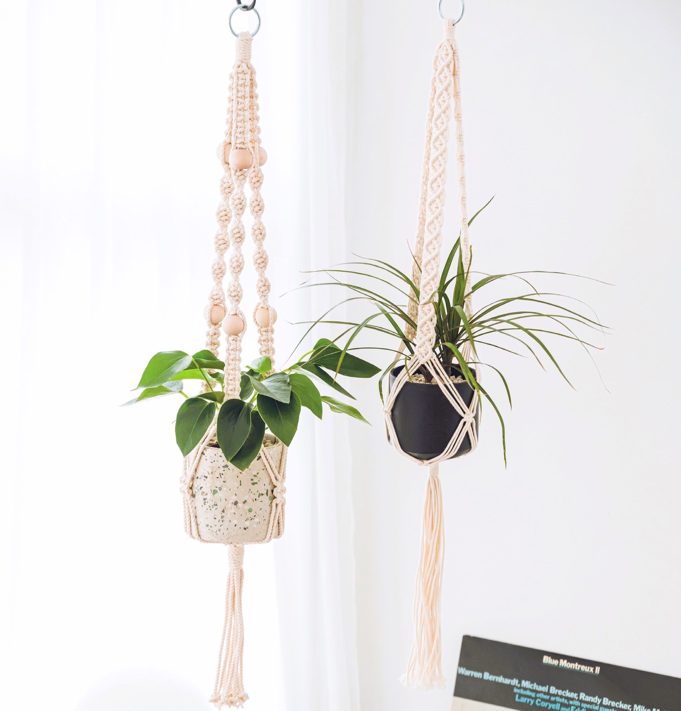 ゆらゆらと揺れる植物が雰囲気満点！ マクラメ編みで作る「プラントハンガー」at home VOX アットホームボックス