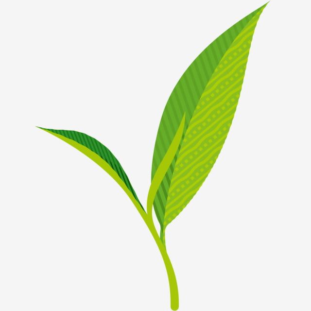 5ページ目花・植物写真素材なら「写真AC」無料 フリー ダウンロードOK